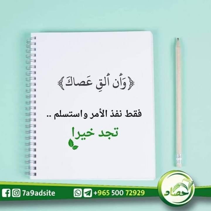 تاملات قرآنية