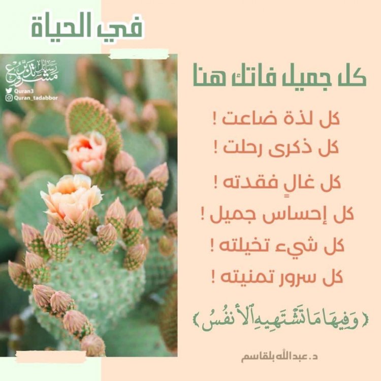 تاملات قرآنية