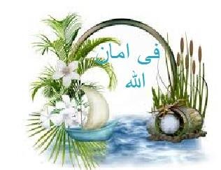 شرح حديث أسامة بن زيد: إنما يرحم الله من عباده الرحماء.