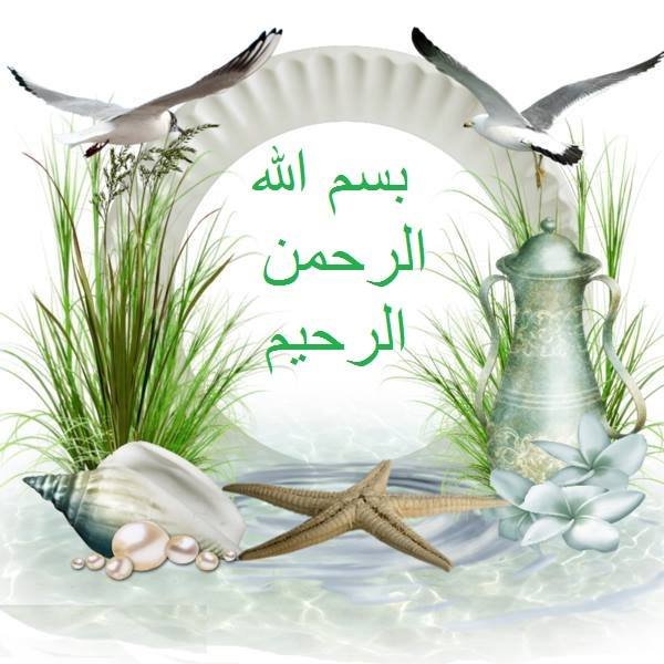 ربما تحتوي الصورة على: ‏‏نبات‏‏