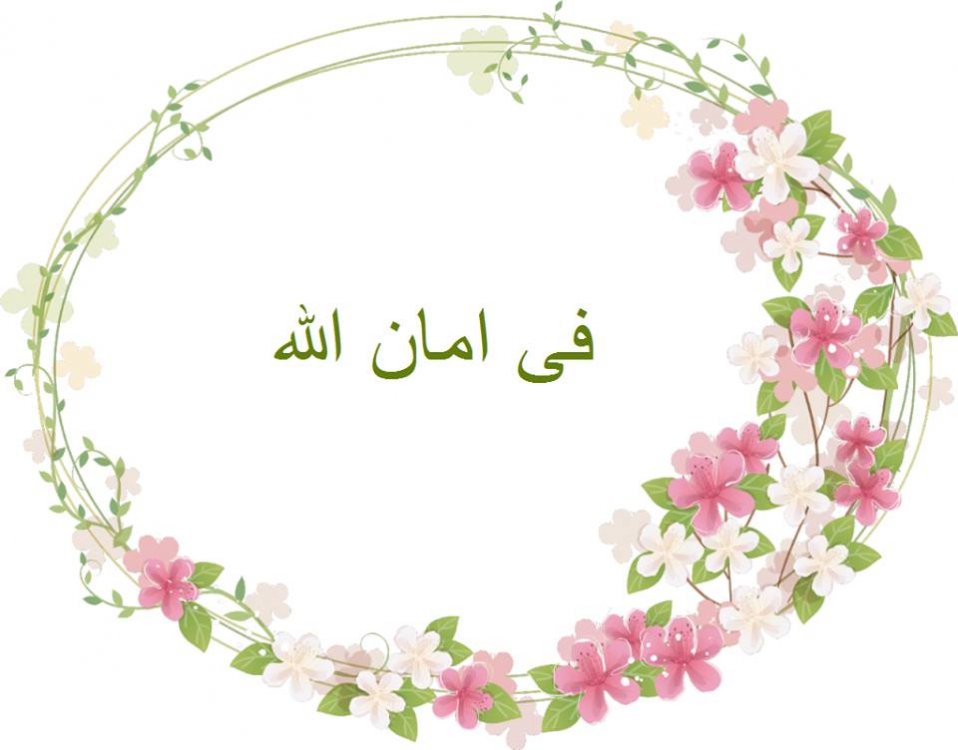 تغريدات منوعة د. بندر الشراري 4