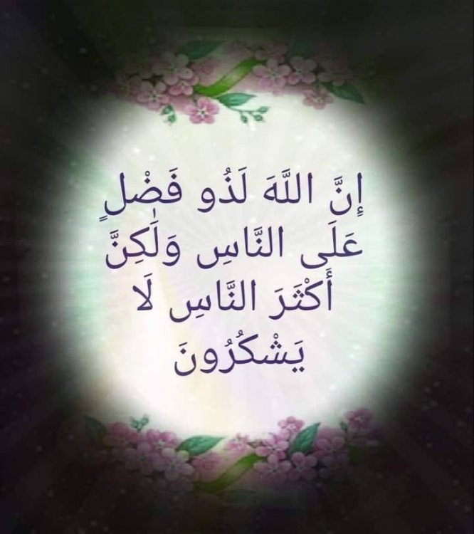 تاملات قرآنية