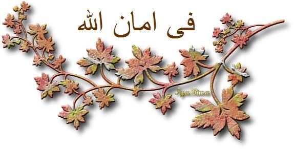 (إن الله يدافع عن الذين آمنوا) ومضامينها التربوية