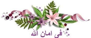 ربما تحتوي الصورة على: ‏‏نبات‏‏