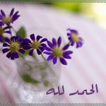 akhawat_islamway_1358872820__-.png