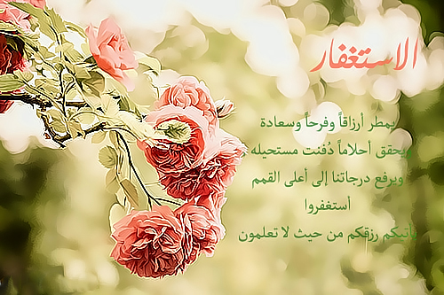 akhawat_islamway_1363716421__3.jpg