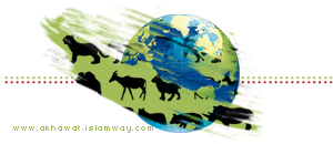 akhawat_islamway_1363826419__post-93813-0-75985600-1362633082.png