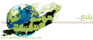 akhawat_islamway_1363828767__post-93813-0-29329100-1362633071.png