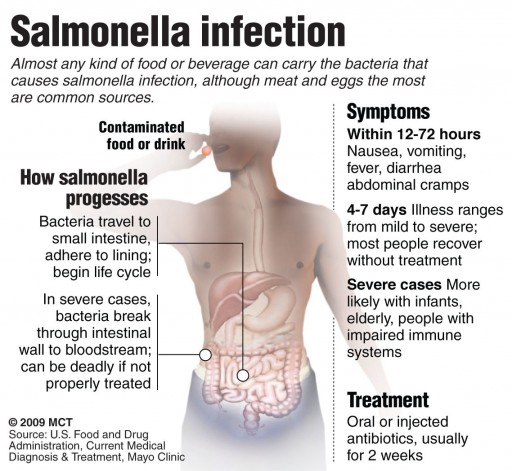 akhawat_islamway_1363968006__salmonella-symptoms.jpg