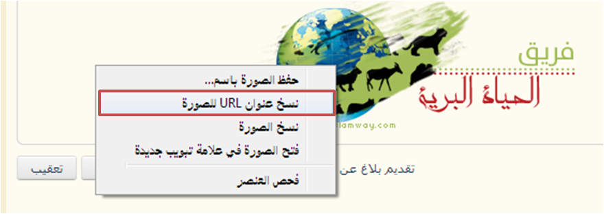 akhawat_islamway_1364214001__1.png