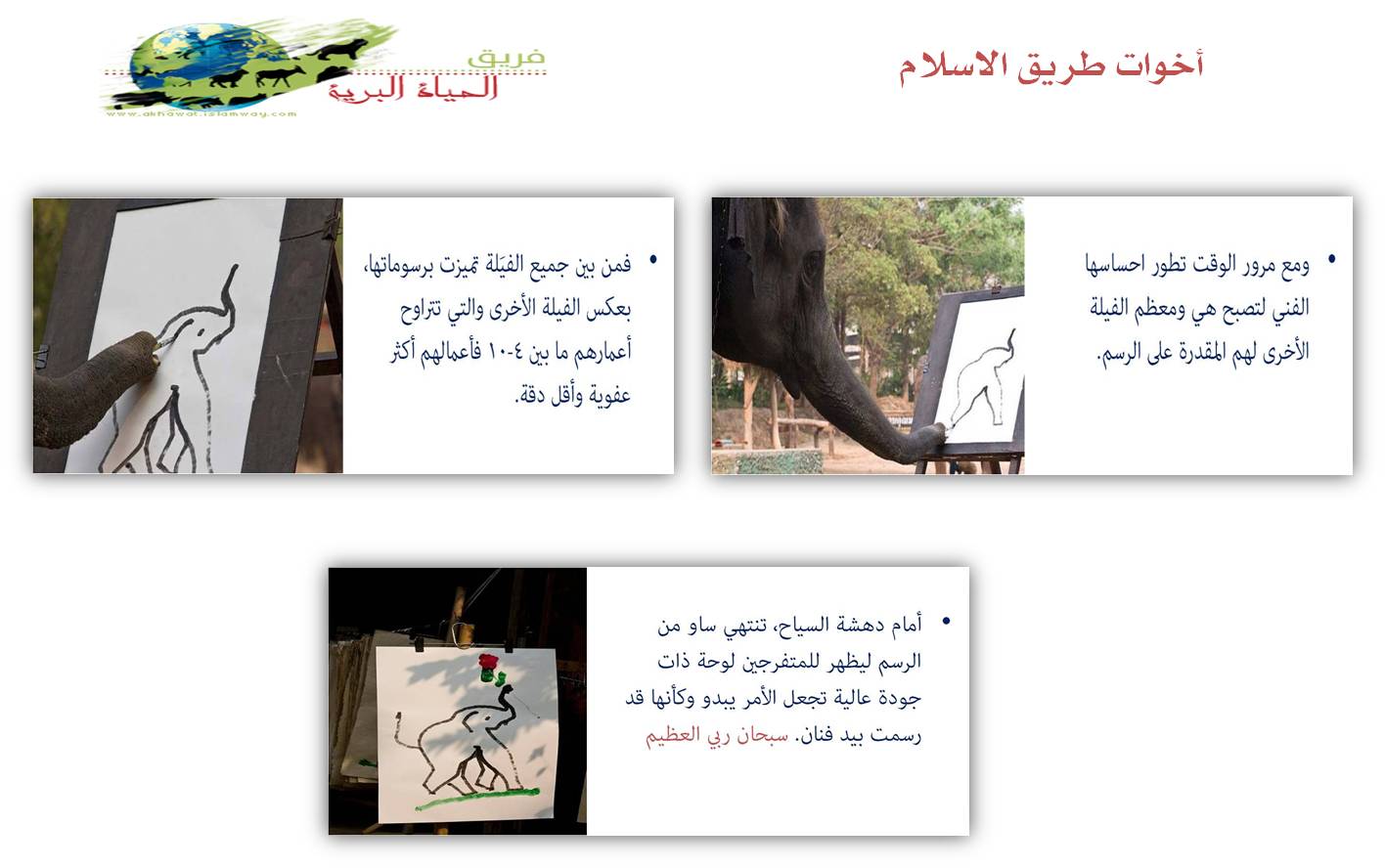 akhawat_islamway_1364918219__7.jpg