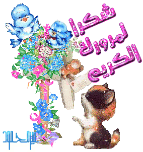 akhawat_islamway_1365179070____48.gif