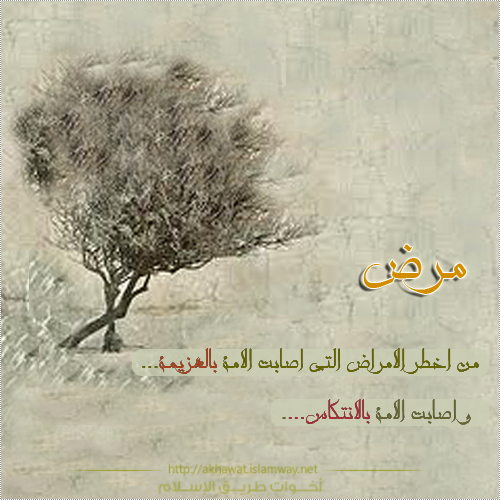 akhawat_islamway_1367168889__4.png