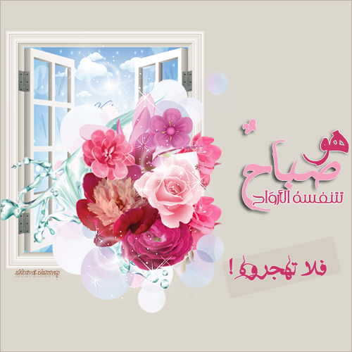 akhawat_islamway_1367697588__aaaaa.png