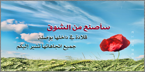 akhawat_islamway_1381143672__2.jpg