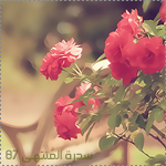 akhawat_islamway_1384569841__.png