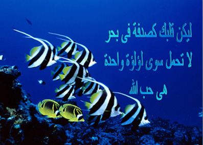 akhawat_islamway_1392151458__1.jpg