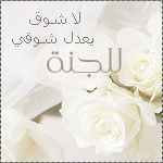 akhawat_islamway_1392506021___2.png