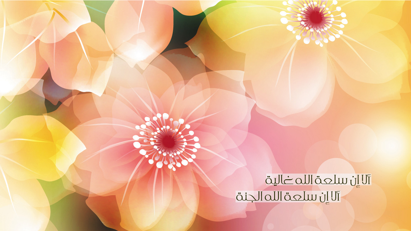 akhawat_islamway_1392579628__3.png