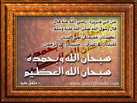 akhawat_islamway_1393623860__045.jpg