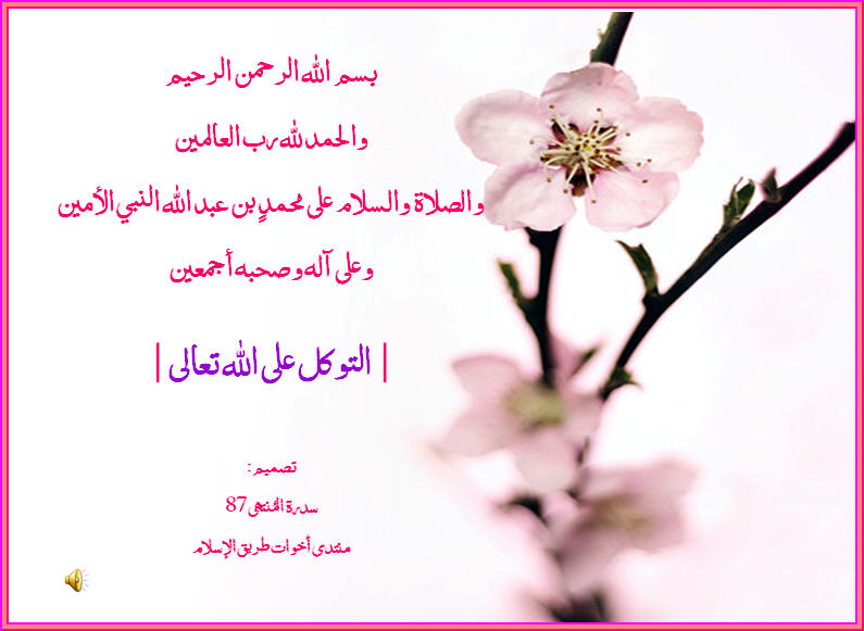 akhawat_islamway_1395082321____.jpg