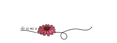 akhawat_islamway_1397737244_____.png