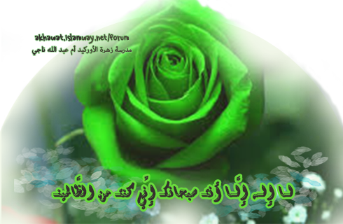 akhawat_islamway_1416158751__222.png