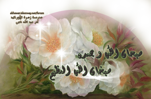 akhawat_islamway_1416158788__untitled-1-.png