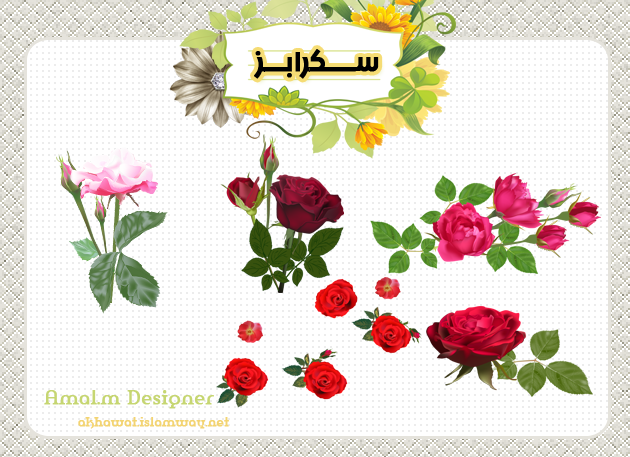 akhawat_islamway_1421308021__2.png