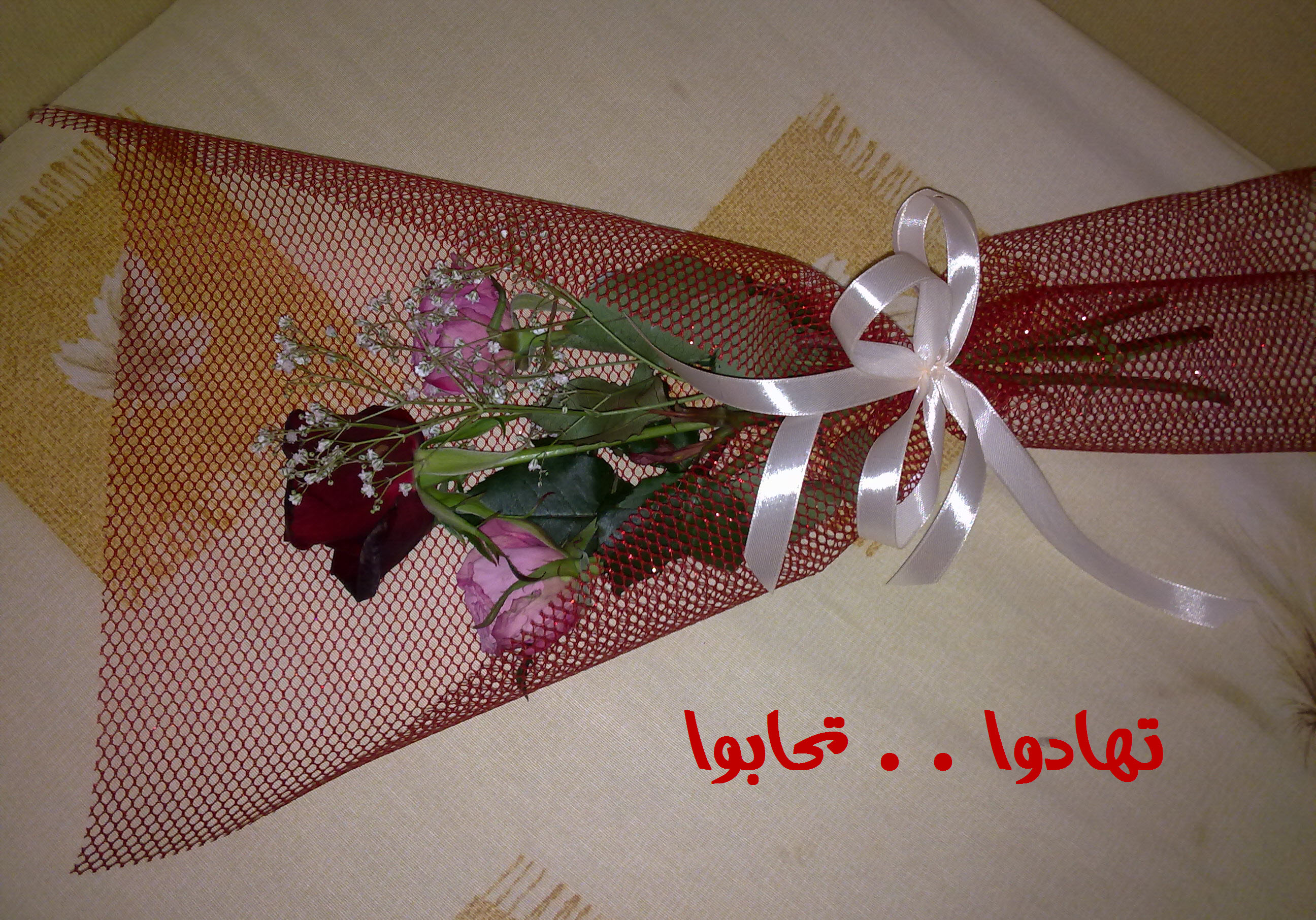 akhawat_islamway_1423721706__.jpg
