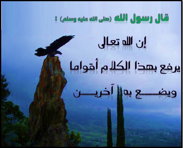 akhawat_islamway_1427279723__06.jpg