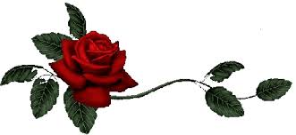 akhawat_islamway_1428423352__images_1.jpg