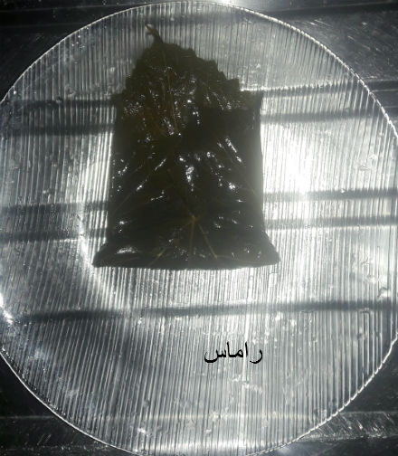 akhawat_islamway_1456789184__15.jpg