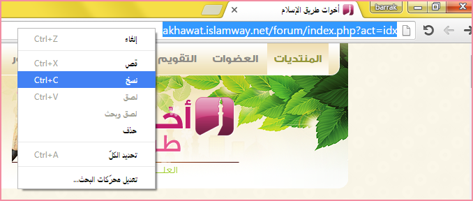 akhawat_islamway_1457540957___1.png