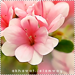 akhawat_islamway_1459066440___.png