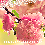 akhawat_islamway_1459140209___.png