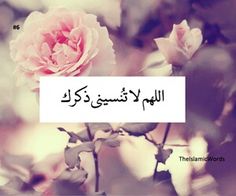 akhawat_islamway_1462538482__9594f5b4730de825959dd30bd6c15194.jpg