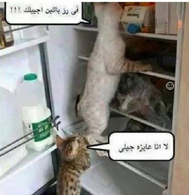 akhawat_islamway_1483997052__11109287_398637837004999_1078607463850785583_n.jpg