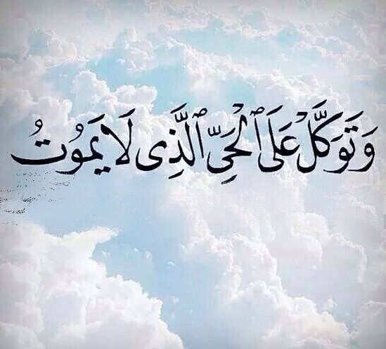akhawat_islamway_1497136254__18580131_753872918106487_985456353164132352_n.jpg