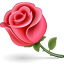 akhawat_islamway_1517204468__flower-icon.png