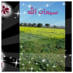 thumb_akhawat_islamway_1423639569__2015-02-11_0815221.jpg