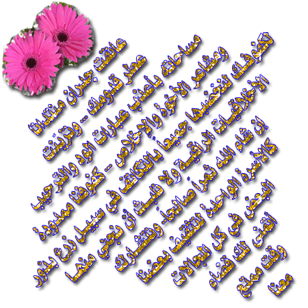 post-119297-1266173883.gif