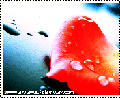 post-28298-1266580494.gif