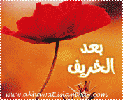 post-28298-1266580562.gif