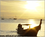 post-28298-1266580642.gif