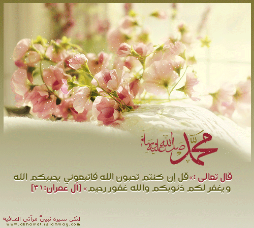 post-24016-1300445637.png