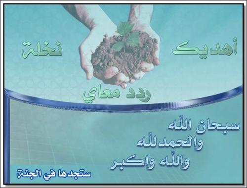 post-98849-1239449738_thumb.jpg