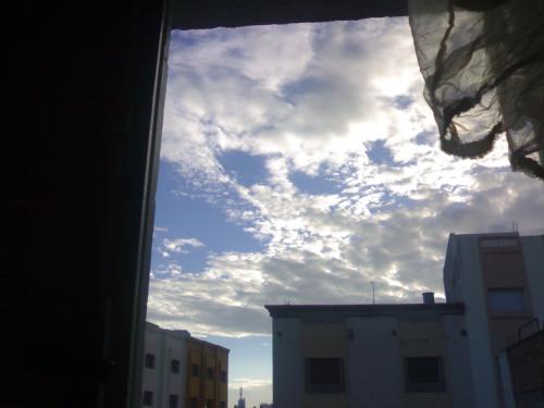 201002252610.jpg