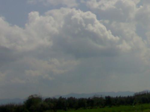 201003142618.jpg