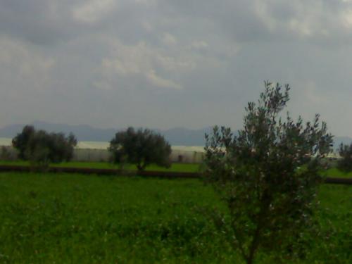 201003142623.jpg